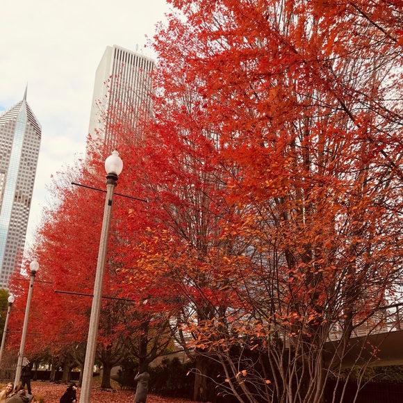 Meet your Posher, Lauren - Picture 1 of 1